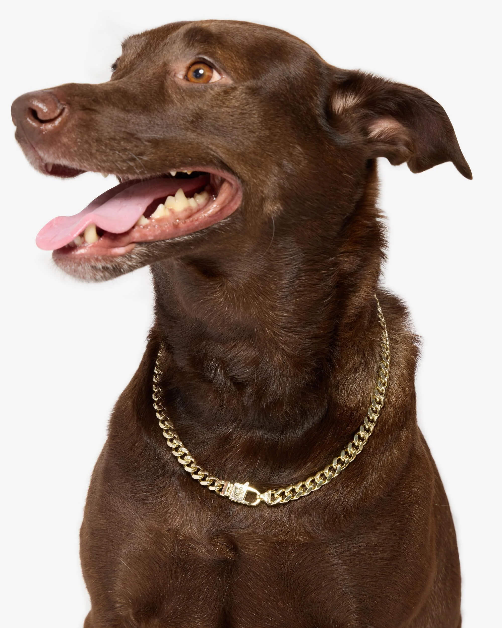 Cuban Chain Pet Necklace 14mm
