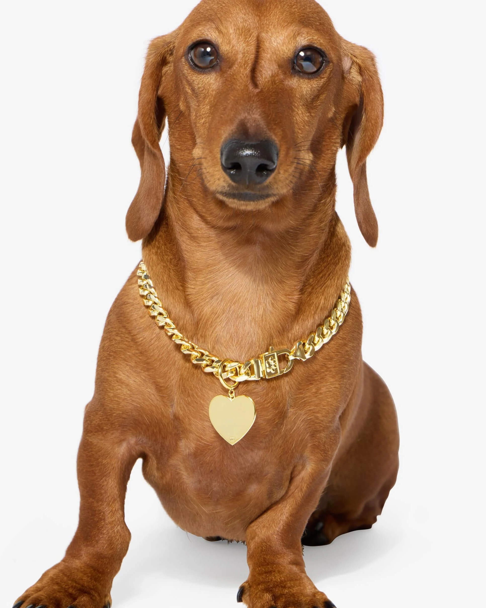 Cuban Chain Pet Necklace 14mm