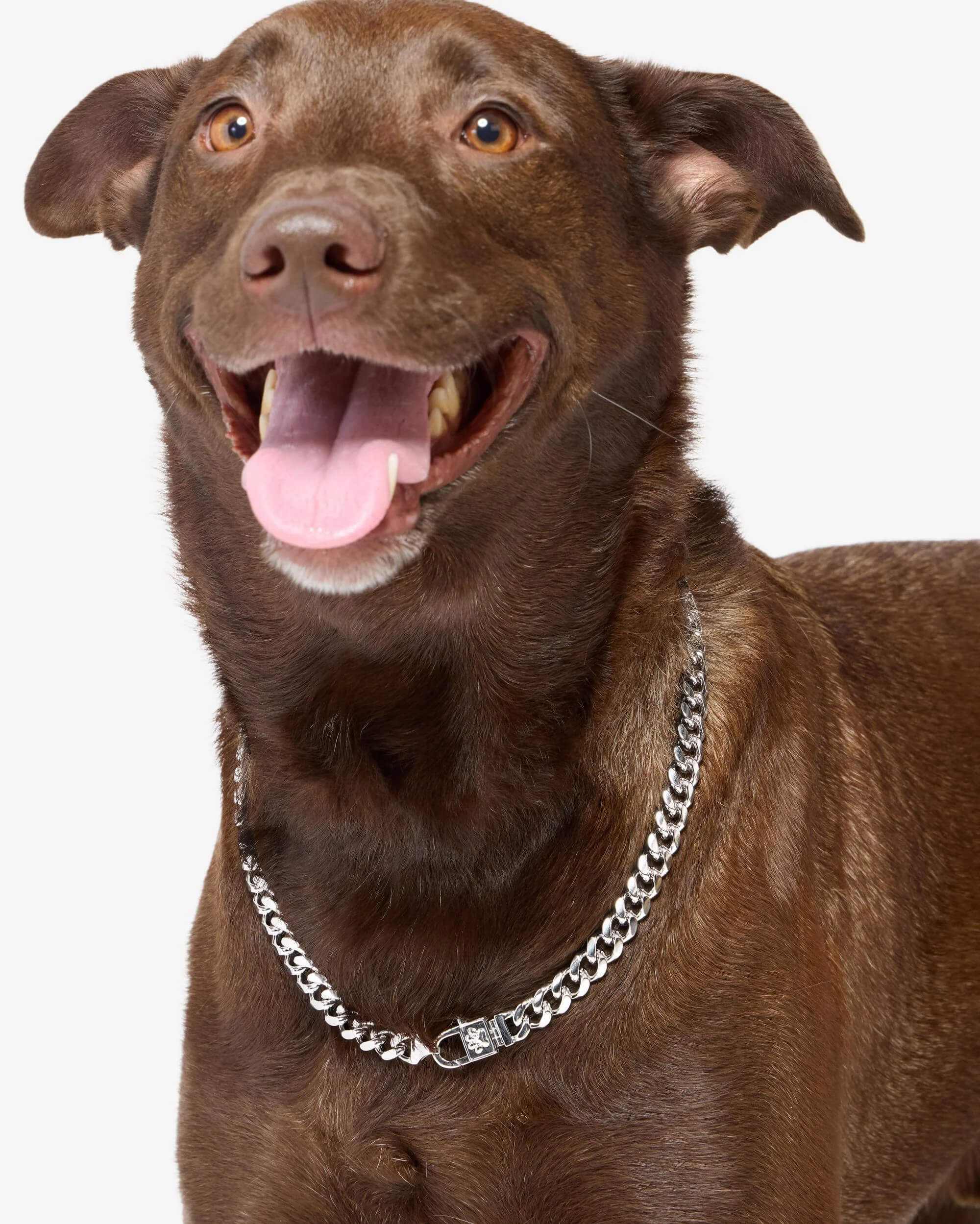 Cuban Chain Pet Necklace 14mm