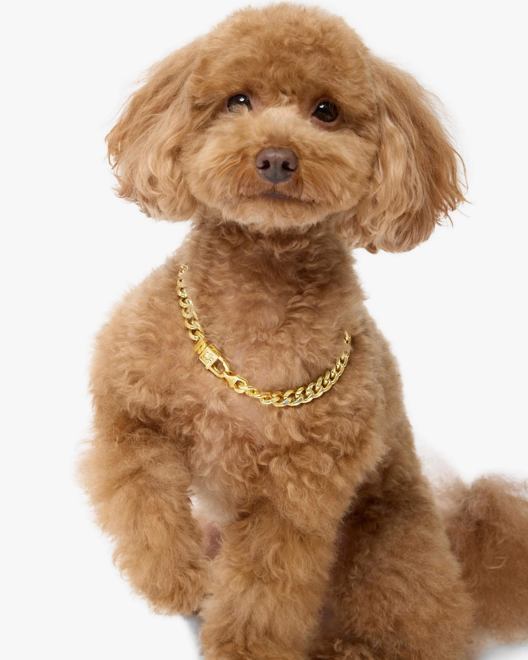 Cuban Chain Pet Necklace 14mm