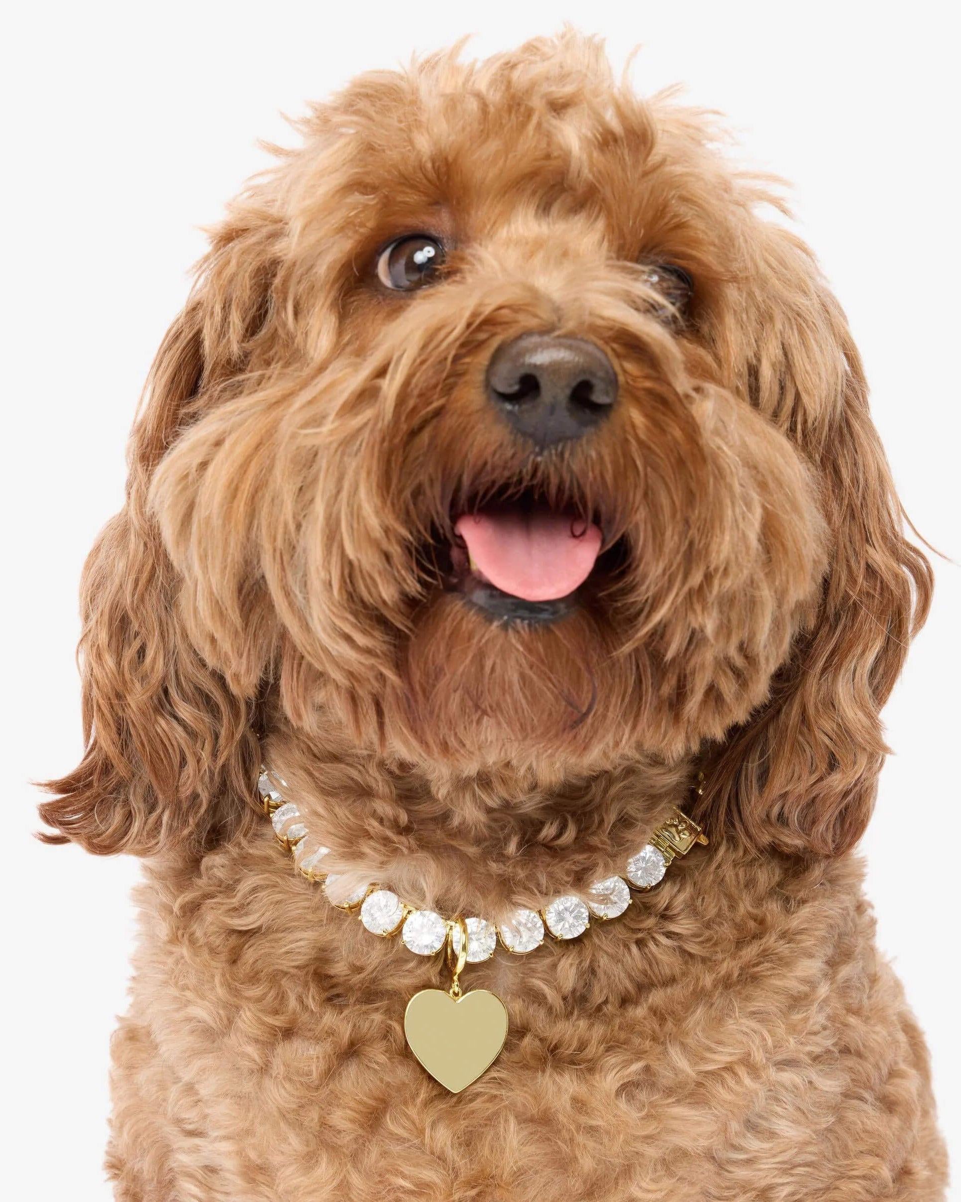 XL Heart Engravable Pet Tag