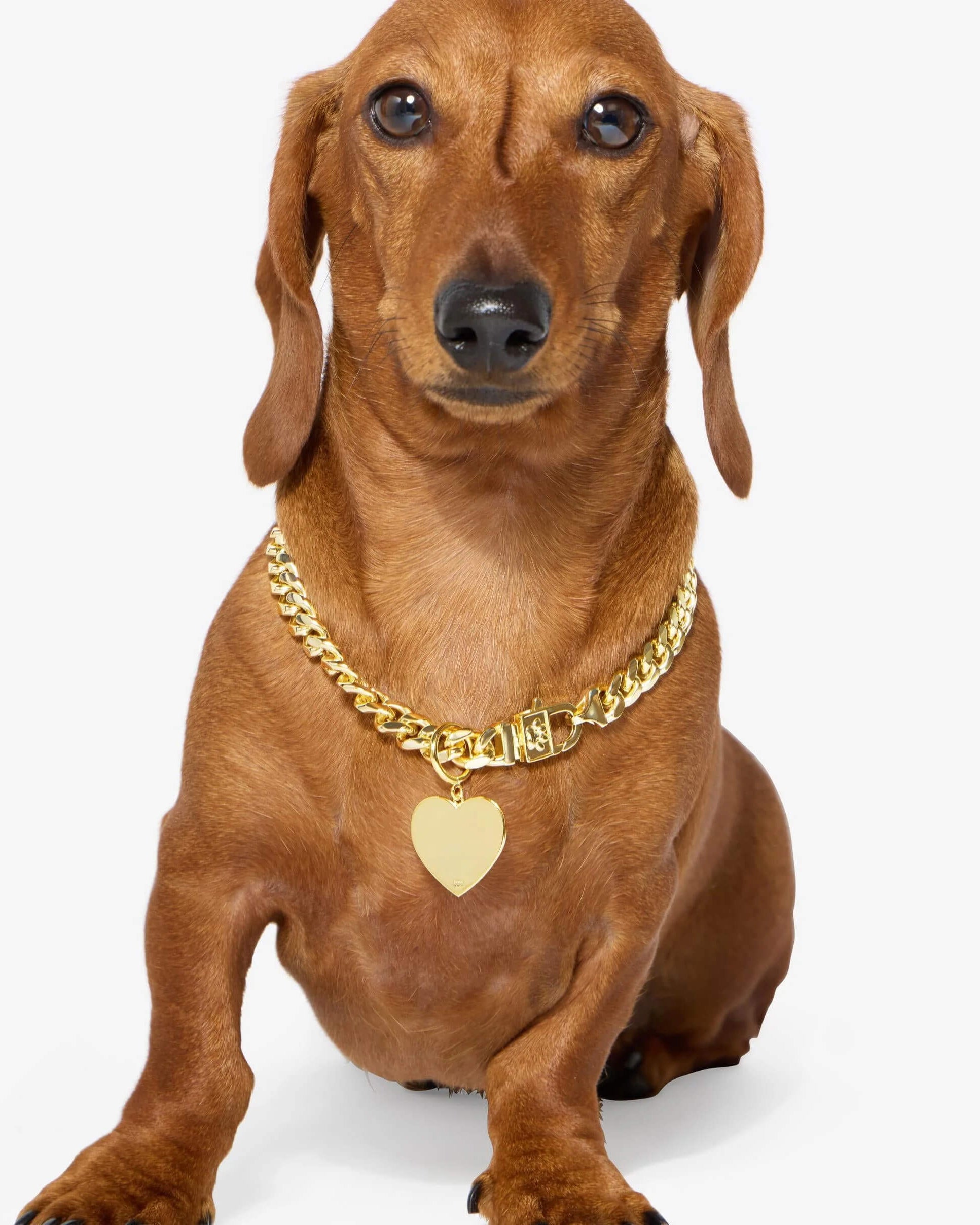 XL Heart Engravable Pet Tag