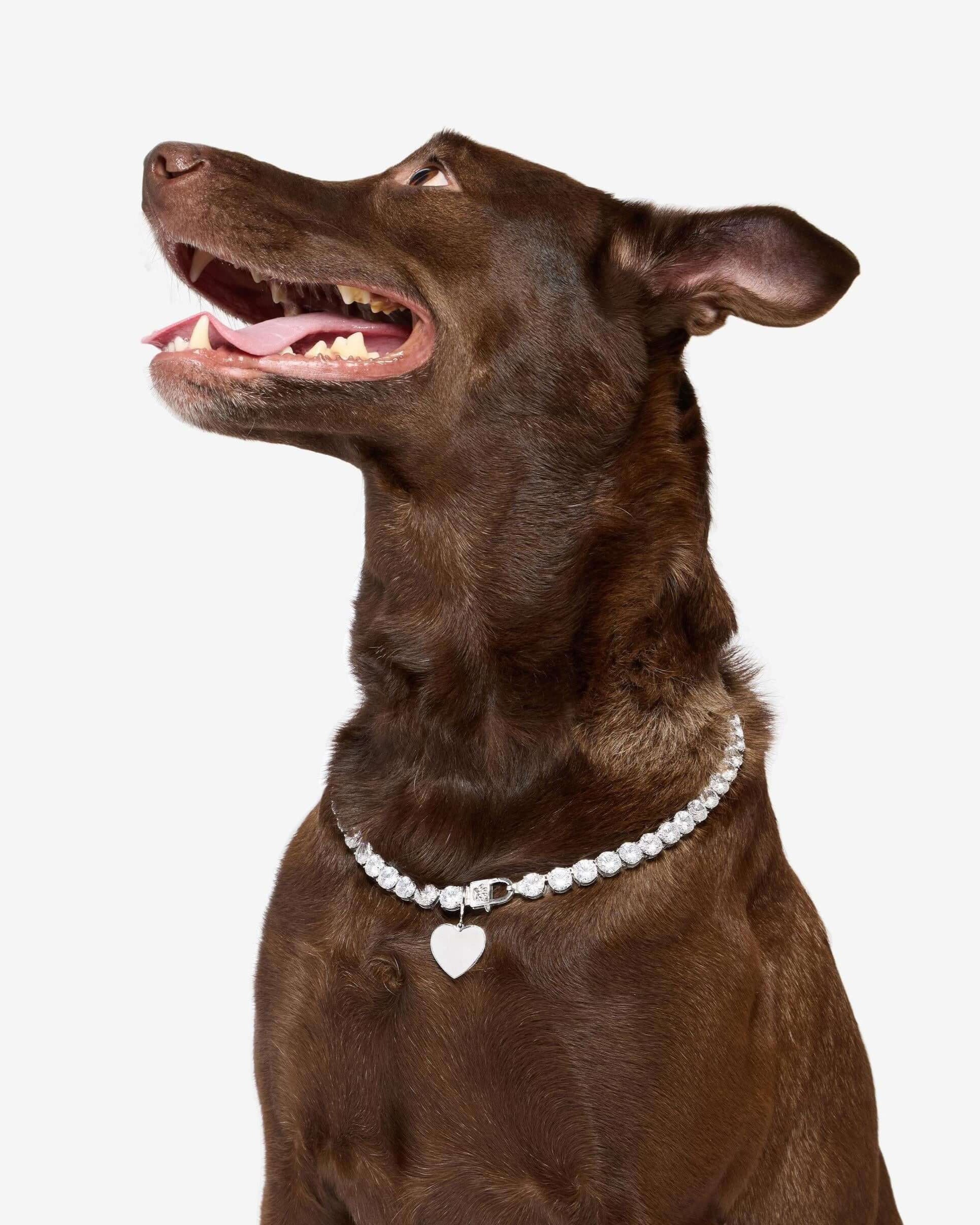 XL Heart Engravable Pet Tag