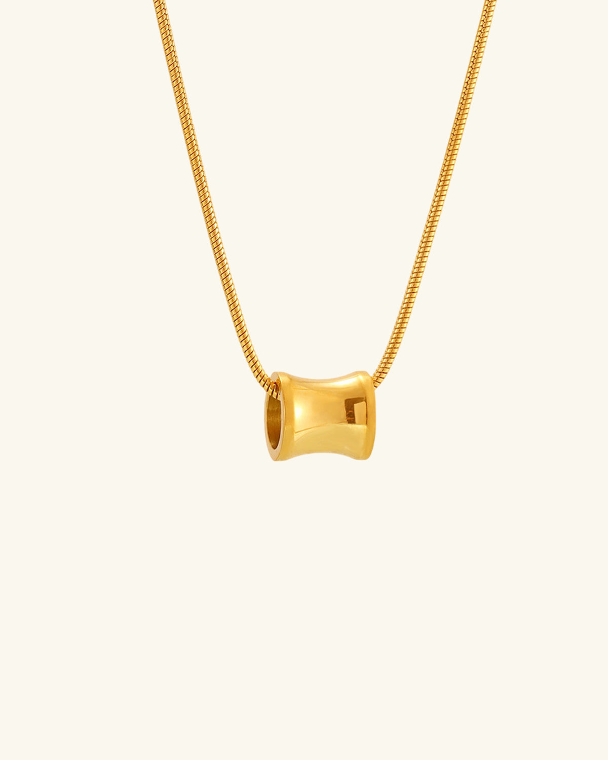 Sleek Torque Necklace