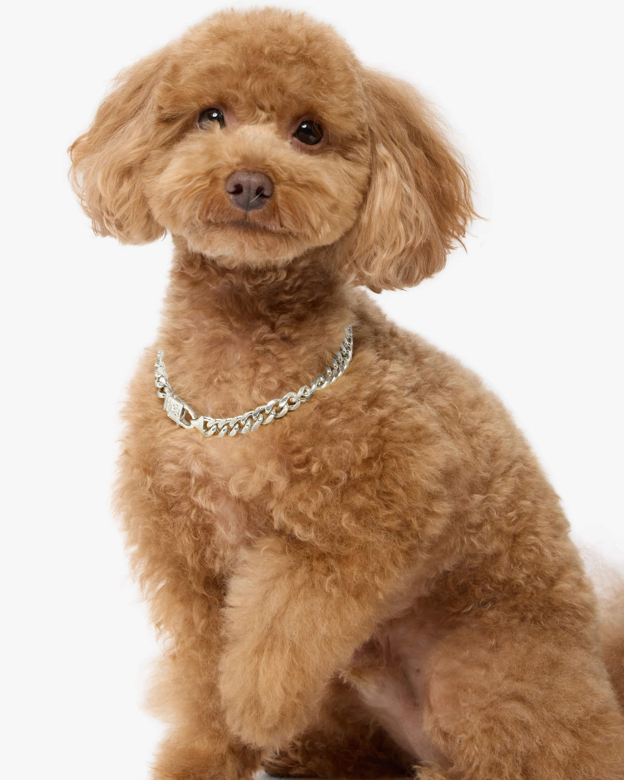 Cuban Chain Pet Necklace 14mm
