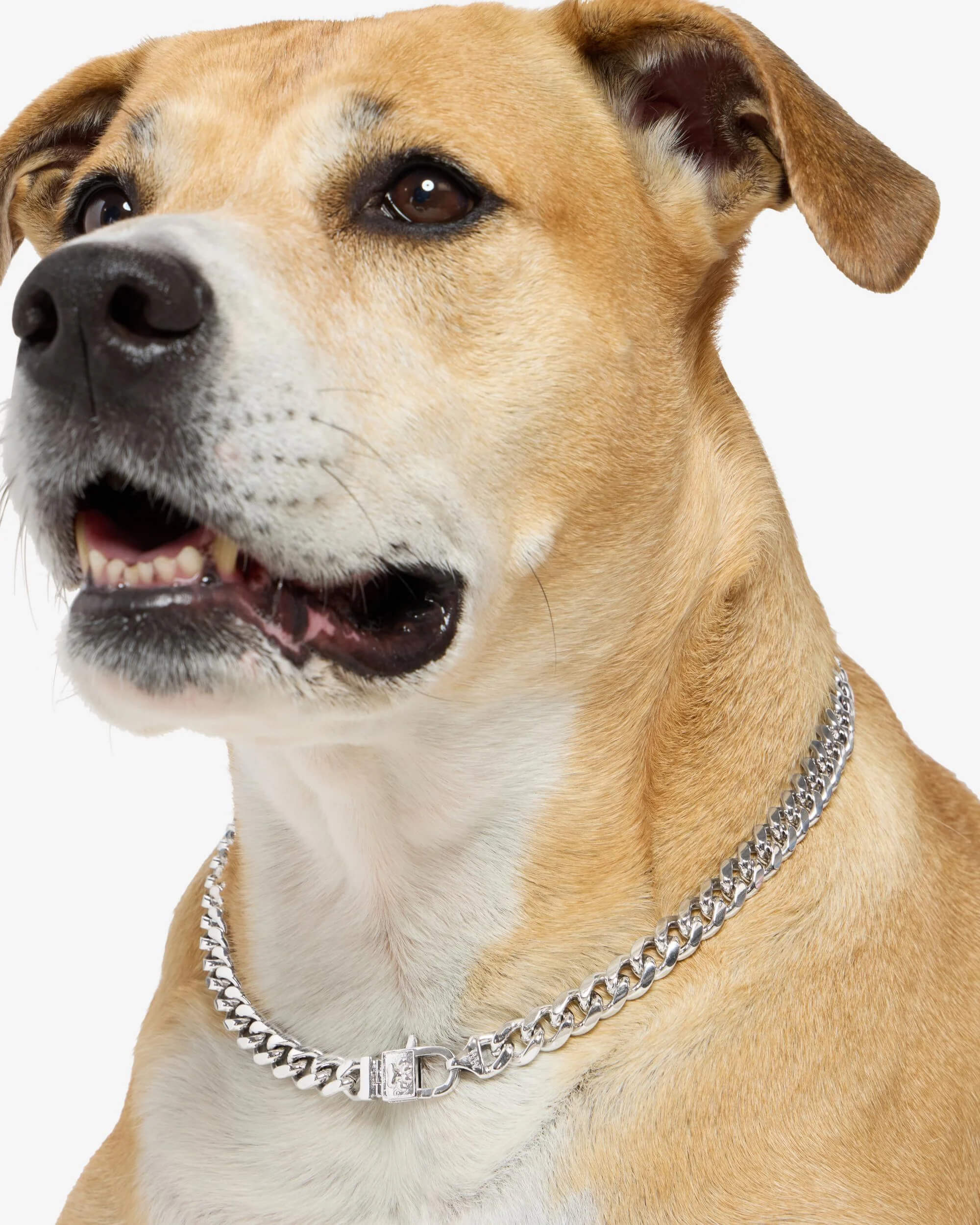 Cuban Chain Pet Necklace 14mm