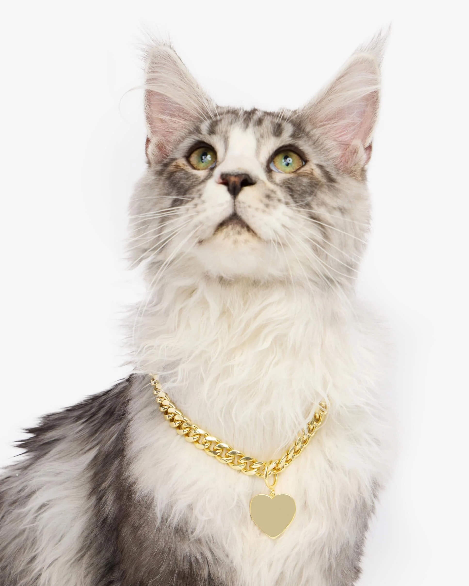 Cuban Chain Pet Necklace 14mm