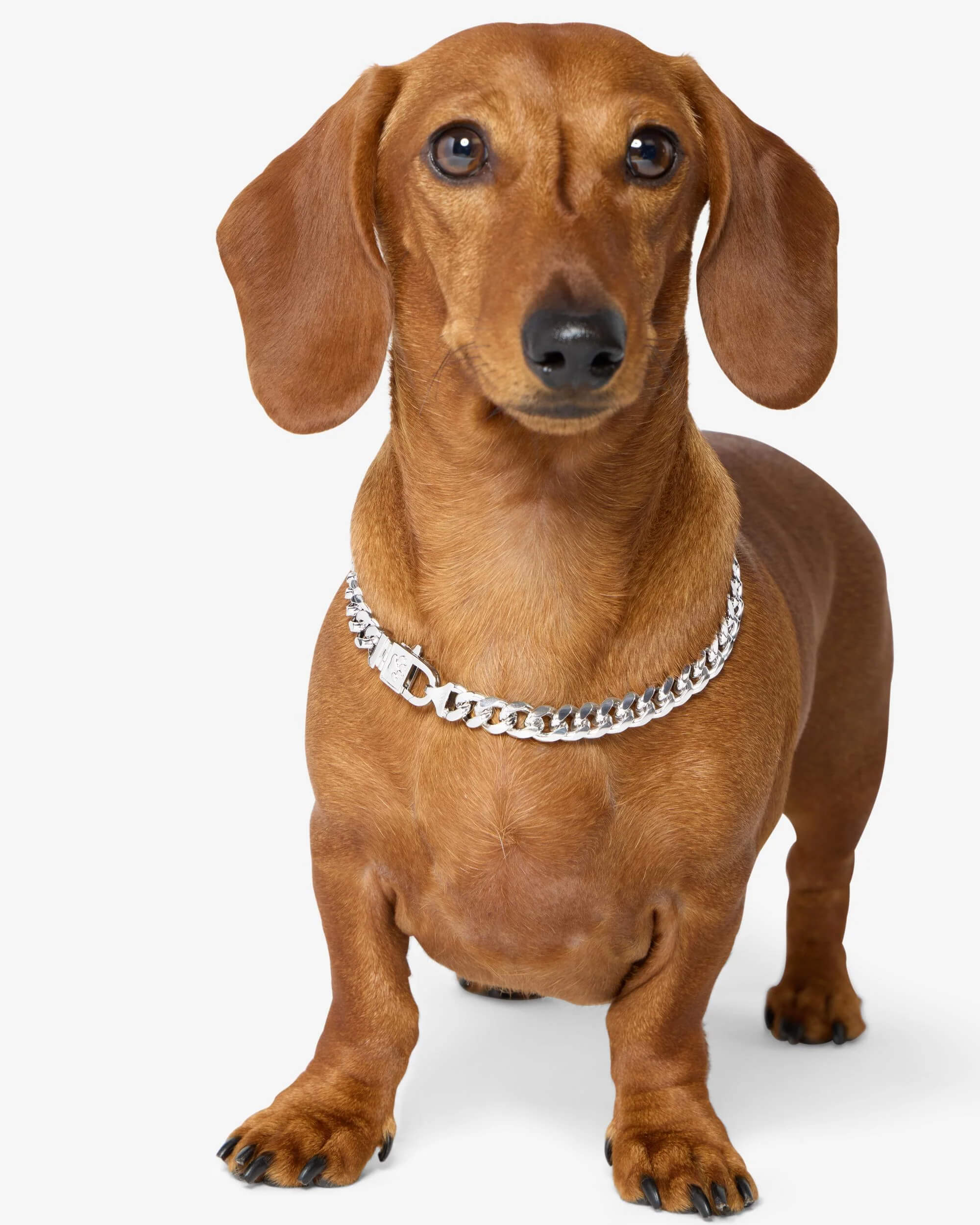 Cuban Chain Pet Necklace 14mm