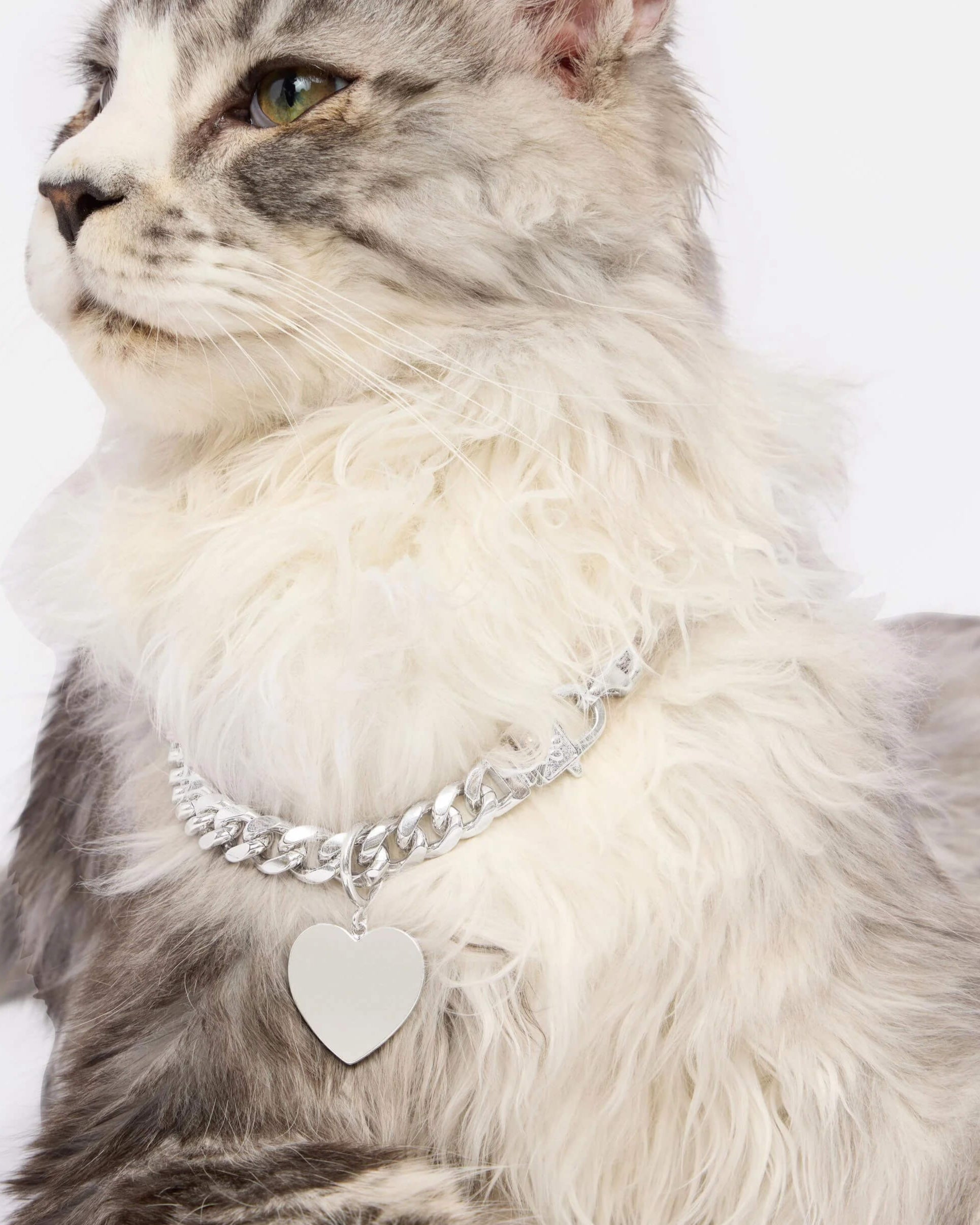 XL Heart Engravable Pet Tag